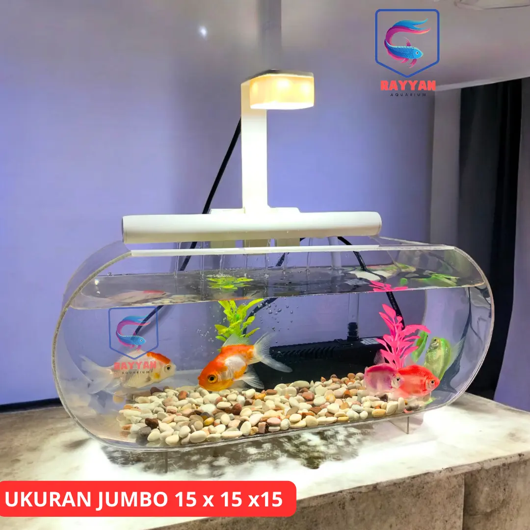 AQUARIUM JUMBO FULL AKRILIK TRANSFARAN UKURAN 35 X 15 X 15 LENGKAP TINGGAL PAKAI (JUMBO T)