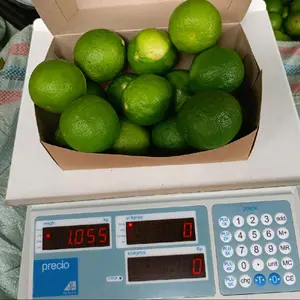 Jeruk nipis 1kg di petik dari kebum langsung frhes