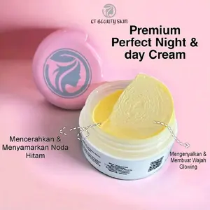 WSC 2IN1 LT Beauty Skin Premium Perfect Night & Day Cream Mencerahkan Menyamarkan Noda Hitam Mengenyalkan Membuat Wajah Glowing