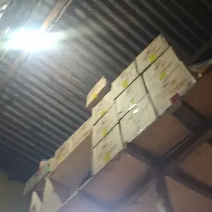 [NFG X SISWANTO MEGA RAMADAN ] 4 DUS // 6 DUS // 10 DUS KOPI KAPAL API // ABC SUSU // INDOCAFE