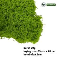 Gambar Workplant - Moss Artificial Lumut Imitasi Dried Moss untuk Terrarium Aquascape DIY Dekorasi Indoor Outdoor - Hijau Muda dari workplant official Kota Surabaya 3 Tokopedia