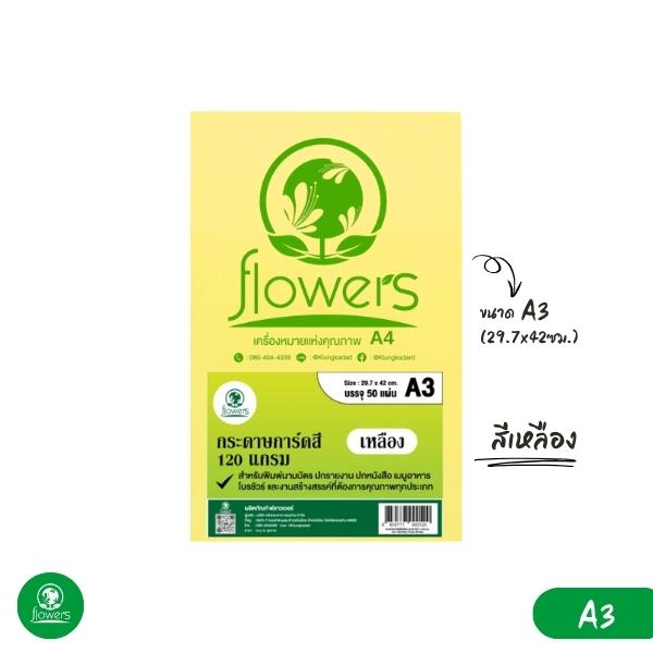 กระดาษการ์ดสี flowers A3 120 แกรม 50 แผ่น (Colors Card Paper)