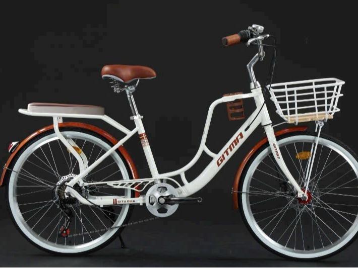 bản cao cấp Xe đạp mini nữ ADF GITMA có bộ chuyển tốc 7 số đủ 2 size 24 26 inch khung thép cao cấp sơn tĩnh điện kèm bình nước giỏ xe tiện lợi 7 tốc độ líp