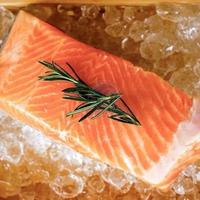Gambar Ikan Salmon Trout Fresh Grade Sashimi 500 gram dari Ferry Fish Kota Tangerang Selatan 1 Tokopedia