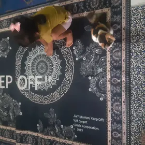 (HF) [DIKIRIM DALAM 30 HARI] [Exclusive Ischaindyofc] Karpet Polyester Jumbo UK 160x210CM Motif Eropa Tebal 5MM HIGH QUALITY