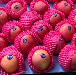 ApelFuji Fresh Rrc 1kg - Buah Segar Langsung dari Dus