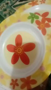 Product Review of PAKET HEMAT 6/12 Pcs Piring Makan Melamin 9 Inch 23 Cm - Melamin Meishing - Warna Random T109 from a** 0