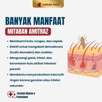 Gambar Amitraz Kutu Kulit Scabies Demodeks Jamur Anjing Kucing - Amitraz dari Caesar JacO Kota Administrasi Jakarta Barat 2 Tokopedia