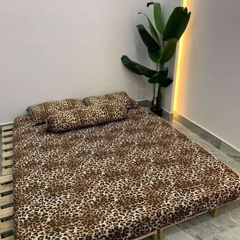 Bộ Drap Ga Thun Hàn Quốc Mẫu Beo Không Mền Đủ Size  Áo Gối 40x60 Có Bèo Vỏ Gối Kiểu Túi Khổ 35x100