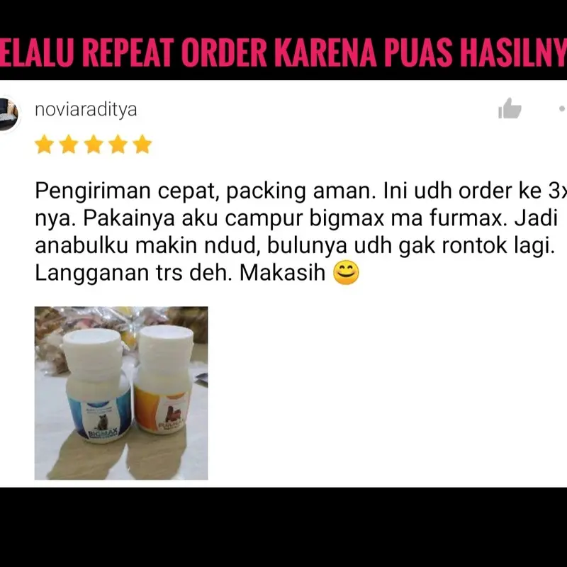 VITAMIN KUCING NAFSU MAKAN PENGGEMUK BULU RONTOK KUCING ANTIBODY KUCING BIAR GEMUK PENAMBAH NAFSU MAKAN KUCING CEGAH RONTOK BULU KUSAM JAMURAN MAX VIT ROYAL CARE BIG CAT BABAH CAT HOUSE CLEVER SOLUTION CUTE CAT perawatan bulu & kulit bisa dikunyah 6