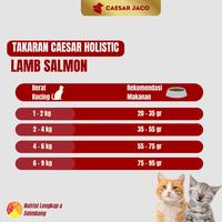 Gambar Makanan Kucing / Cat Food Caesar Natural Holistic 5kg dari Caesar JacO Kota Administrasi Jakarta Barat 4 Tokopedia