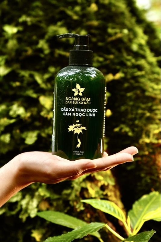 Combo Dầu Gội Xả Xịt Dưỡng Biotin Sâm Ngọc Linh - Hỗ Trợ Làm Sạch Da Đầu, Giảm Khô, Xơ, Ngăn Ngừa Gãy Rụng & Nuôi Dưỡng Tóc Chắc Khoẻ | Dân Bùi Xứ Nẫu