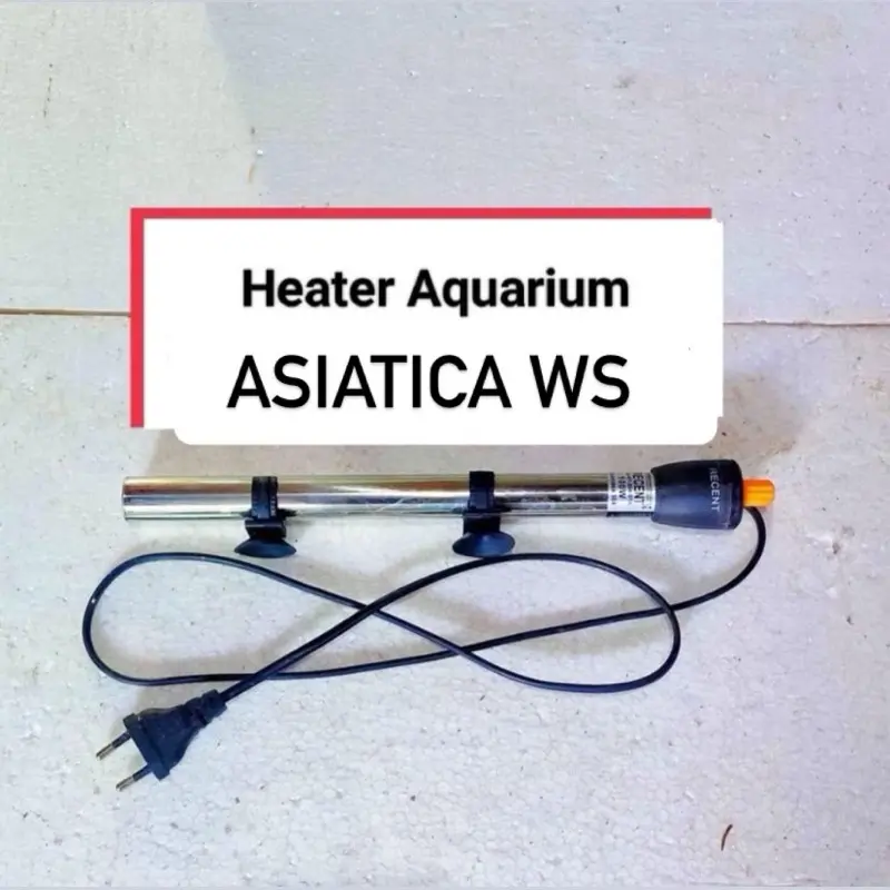 heater aquarium asiatica ws 13cm-15cm 0