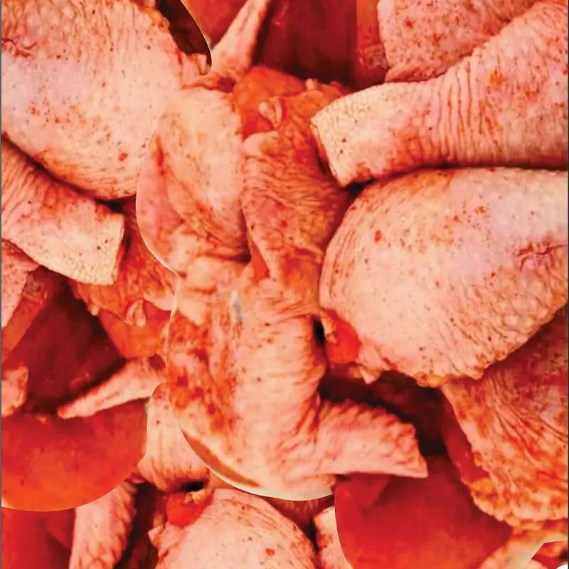 BUMBU MARINASI  AYAM YANYUN Instan 1