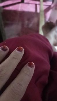 Product Review of NEHA Pacar Kuku NAIL Colour Tubi BPOM HALAL Kutek 1 biji from i**s a**h 0