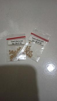Product Review of BENIH TOMAT CHERRY MINI ISI 10 from S**u 0