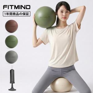 FITMIND ピラティスボール 20cm ステキティスボール ぎむにく エクササイズボール 玉 ヨガボール コアストレングスエクササイズボール  小さい ストレッチ リハビリ ギムニック 4色 耐爆·滑り止め付きミニヨガボール 自宅ジムやオフイス用安定感向上トレーニング用具 リハビリ ギムニック