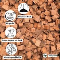 Gambar Workplant - Coco Husk Cocochip Media Tanam Atau Alas Substrat Kandang Reptile Siap Pakai dari workplant official Kota Surabaya 3 Tokopedia