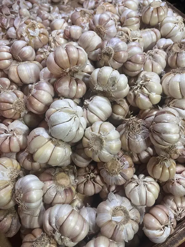Bawang Putih 500gr 1/2kg Baput BP Bersih Banci Honan Fresh Garlic - Loka Pangan 6
