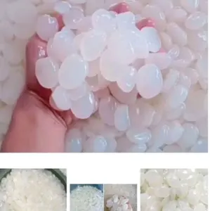 harga murah 1kg Kolang Kaling segar fresh