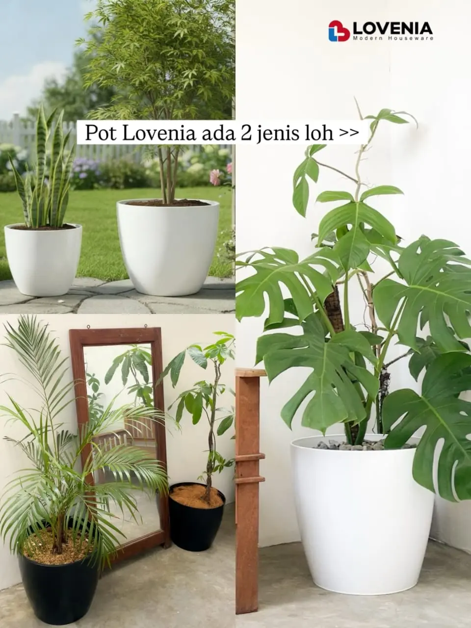 Pot Bunga Tanaman Plastik Lovenia 40 Model Keramik Polos | Bahan Tebal ...