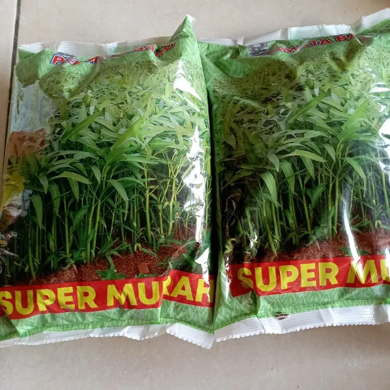 Promo Benih//bibit kangkung SUPER MURAH permata baru kemasan 1kg original Benih Daun 1