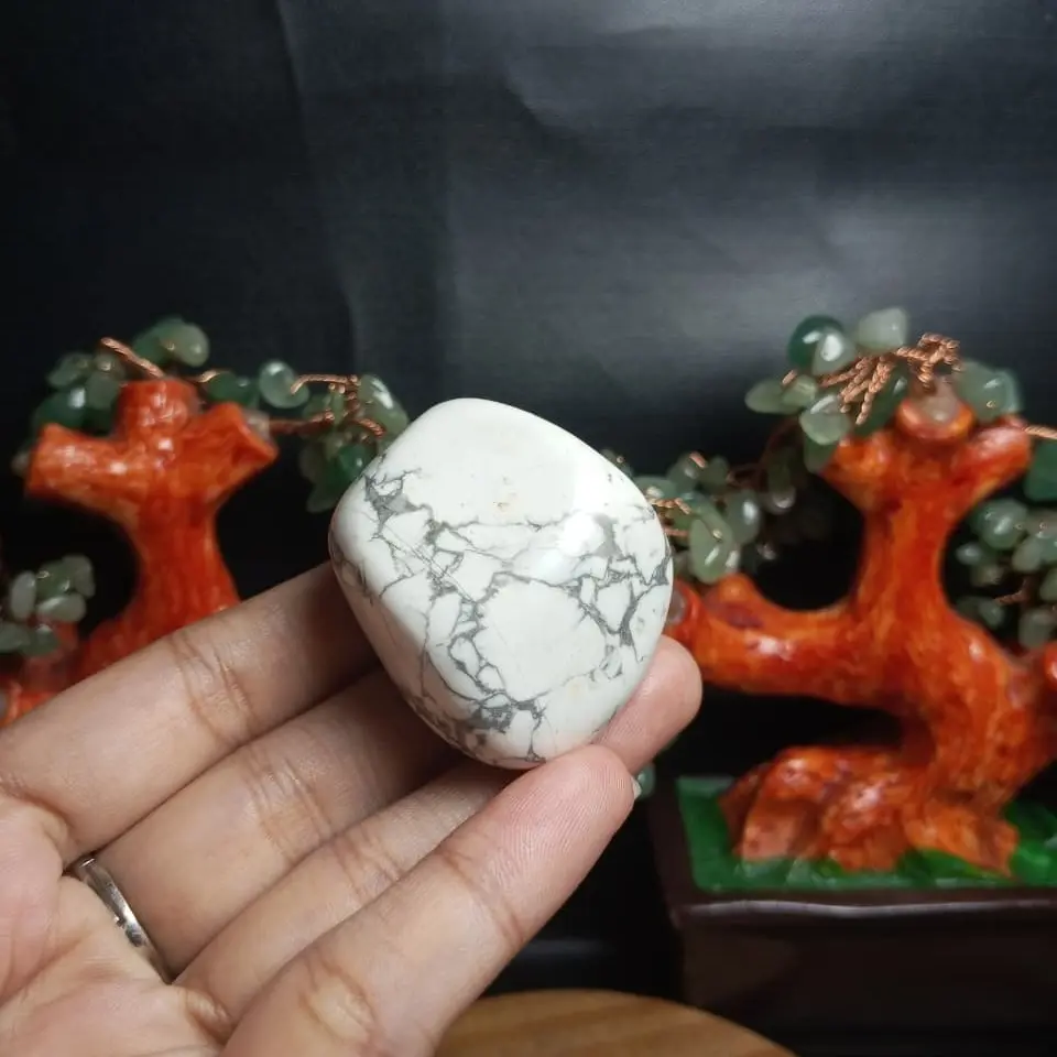 Natural Howlite Big Tumble (5) Batu asli alam
