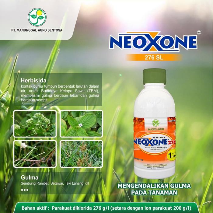 Gambar Maxxi Agri Pembasmi Rumput Gulma Herbisida Neoxone 276 SL Parakuat Diklorida 276 g/l untuk Kelapa Sawit TBM dari PUROTANI.ID Kab. Purworejo Tokopedia