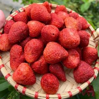 Dâu tây sấy lạnh trái to - AN NHIÊN FOODS