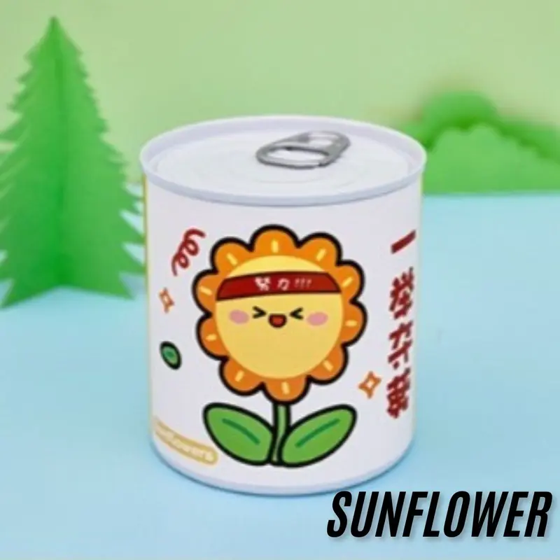 Tanaman Pot Mini Asli / Mini Potted Plant 6