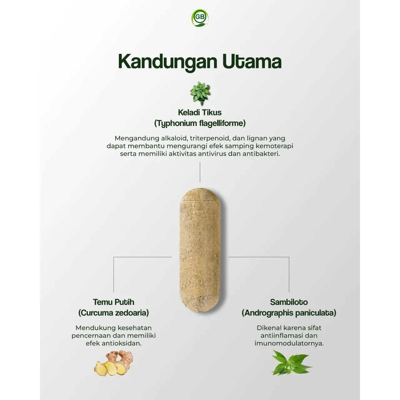 TYPHONIUM PLUS Obat Herbal Alami Kanker Tumor Miom Kista PCOS FAM