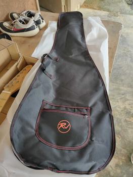 Product Review of RJ Basic Electrics - Skycaster Electric Guitar (Stratocaster) from L**r T**o 1