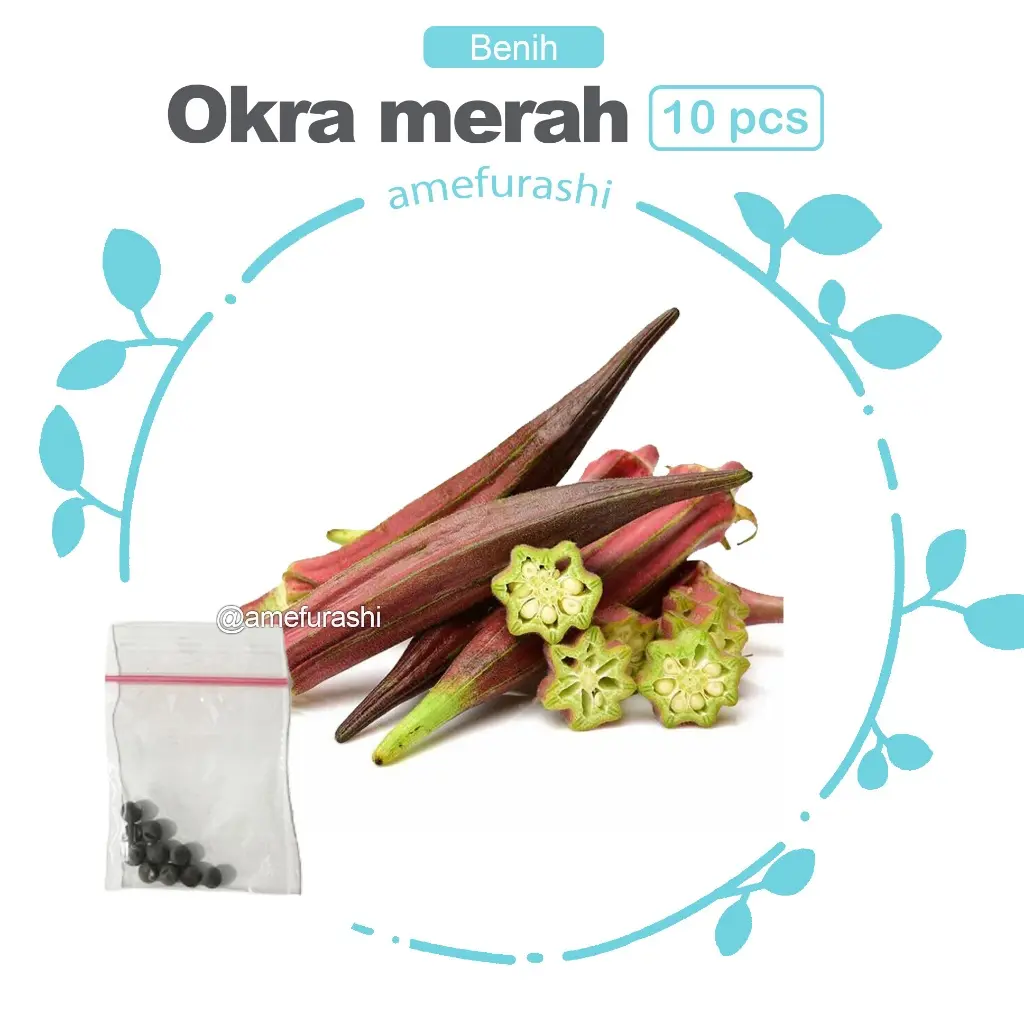 Okra Merah 10 Biji