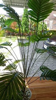 Product Review of 1set palem 120CM TKG artificial dengan pot pirus from a**i ** 2