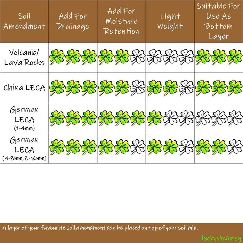 [2L, 4L] Vermiculite For Planting / Gardening / Mixing Into Soil 6