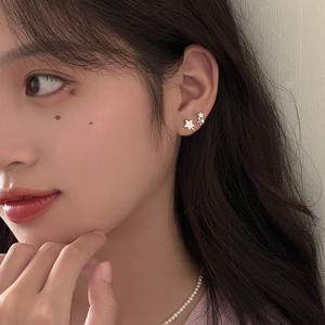 EAR PARTNER-星柄スタッドピアス レディース 新しいベストセラー 個性的で素敵なデザイン 高級感のあるイヤリング 秋冬用イヤクリップ＆ピアス（eh-2565）