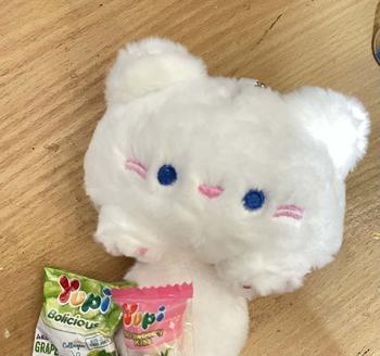 Product Review of Plushie Keyring Doll Enhypen from p**📡 0