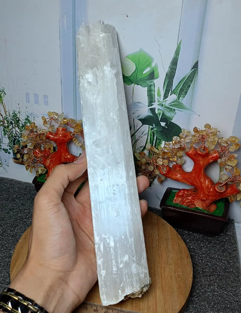 Natural White Selenite Rough / Raw Origin Marocco (3) asli batu alam