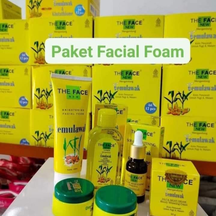 The Face temulawak Cream 5in1 All Skin Types Whitening All Skin Types 1