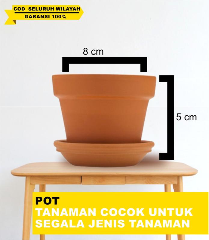 POT PLASTIK UNTUK TANAM NSM 1