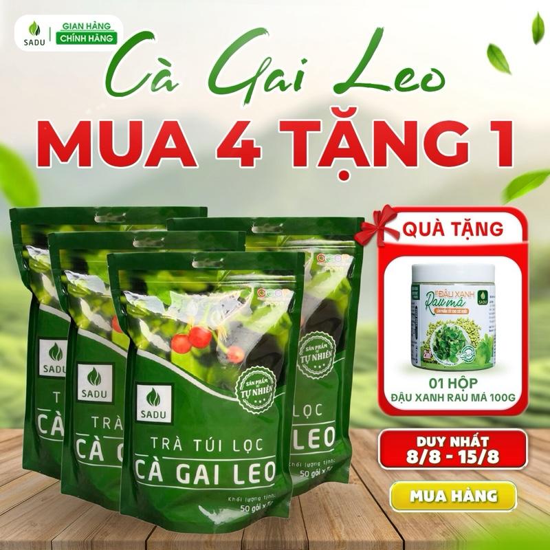 1KG TRÀ TÚI LỌC CÀ GAI LEO  + (TẶNG 100g Bột Đậu Xanh Rau Má) Hỗ trợ thải độc gan,  - Tea, Nước Trà Chè