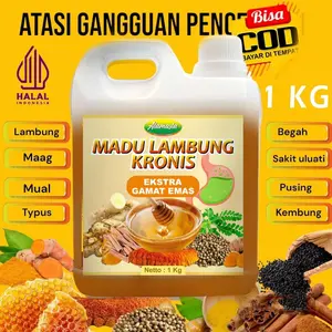 Madu Lambung Kronis Alamasta 1 KG dengan Extra Gamat Emas