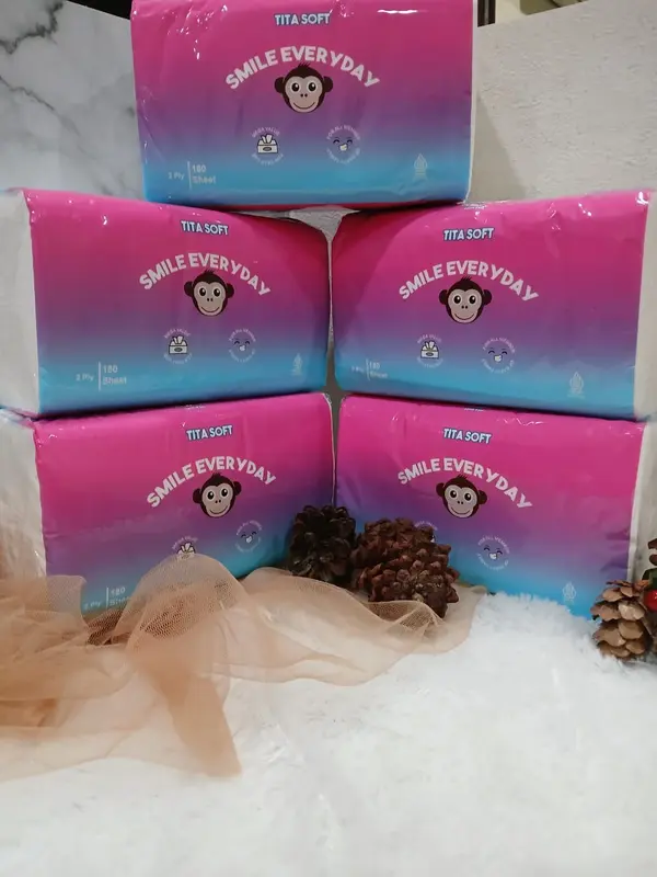 PAKET TISUE MURAH 10 PACK 2