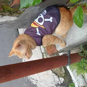 Baju Kucing Lucu Kostum Hewan Peliharaan Polisi Lalu Lintas – Nyaman & Anti Gerah | Ukuran XS S M L XL