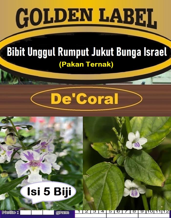 Jual Bibit Unggul Rumput Jukut Bunga Israel | Biji Benih Rumput Jukut ...