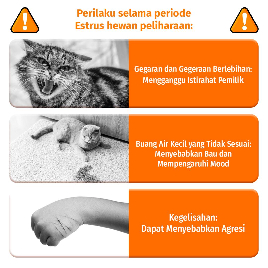 Cassiel Pet Estrus Suppressant Tablets Tablet Penekan Estrus Untuk Menenangkan Melolong Mengurangi Kecemasan Menenangkan Suasana Hati Anjing & Kucing