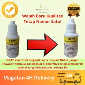 Pelangi Flora Indonesia BAP - 6-BAP (BAPIn) 10000 ppm 30ml Perangsang Bunga & Tunas Anggrek Dendrobium Bulan Onchidium Vanda Catleya COD Bayar Ditempat