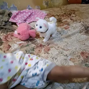 Mainan Anak Kucing Bersuara Meong dan Berjalan Hewan Peliharaan Lucu