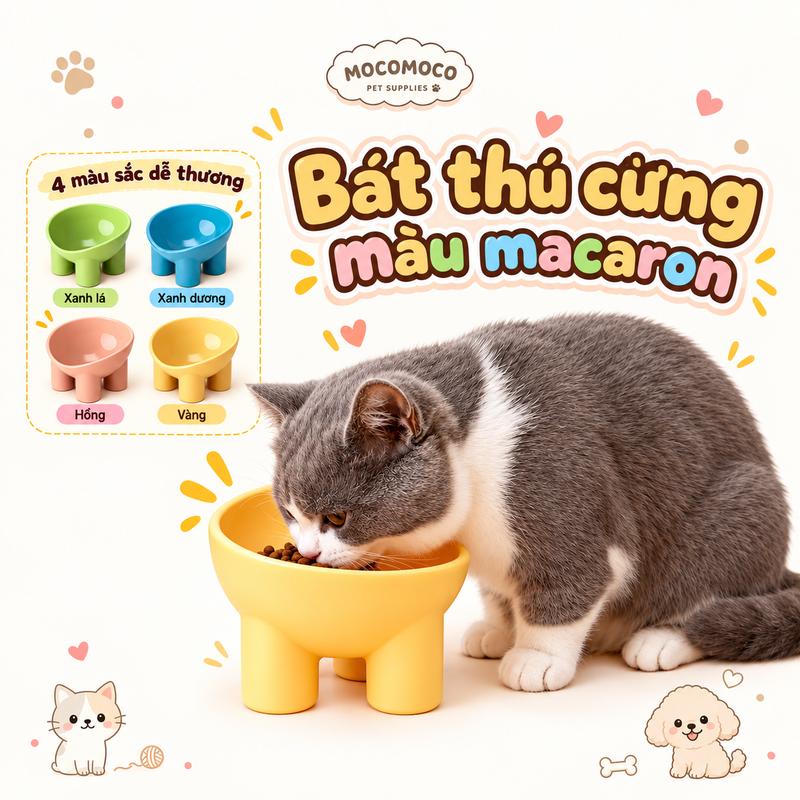 Bát Ăn Cổ Cao Cho Chó Mèo, Bát Nhựa Đế Cao Cho Thú Cưng, Hạn Chế Cúi Thấp, Dễ Vệ Sinh Cho Mèo Và Chó Nhỏ