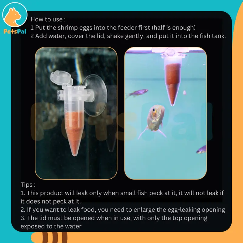 Tempat Makan Ikan Otomatis Mini Pengumpan Pelet Telur Udang Pengumpan Ikan Hias Pengumpan Ikan Kecil Fish Tank Shrimp Egg Feeder Automatic 2